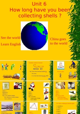 八年级英语下册 Unit How long have you been collecting shells_ section A课件人教版新目标 课件