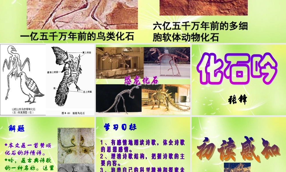 中学七年级语文上册 21 化石吟课件 (新版)新人教版 课件