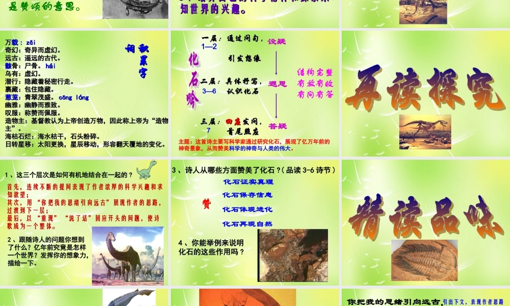 中学七年级语文上册 21 化石吟课件 (新版)新人教版 课件