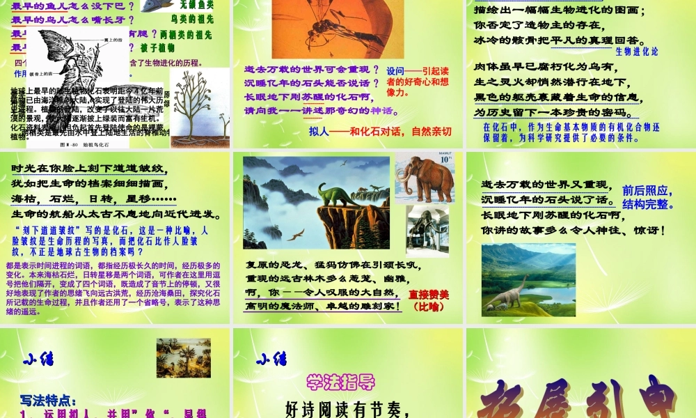 中学七年级语文上册 21 化石吟课件 (新版)新人教版 课件