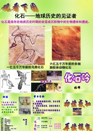 中学七年级语文上册 21 化石吟课件 (新版)新人教版 课件