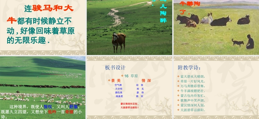《草原》PPT课件