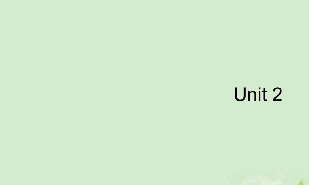 山东省沂水一中高二英语 Unit 2 the first period课件(35) 新人教版 课件