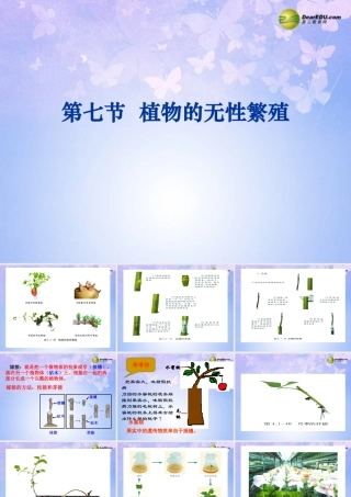 八年级生物上册 植物的无性繁殖课件 济南版 课件