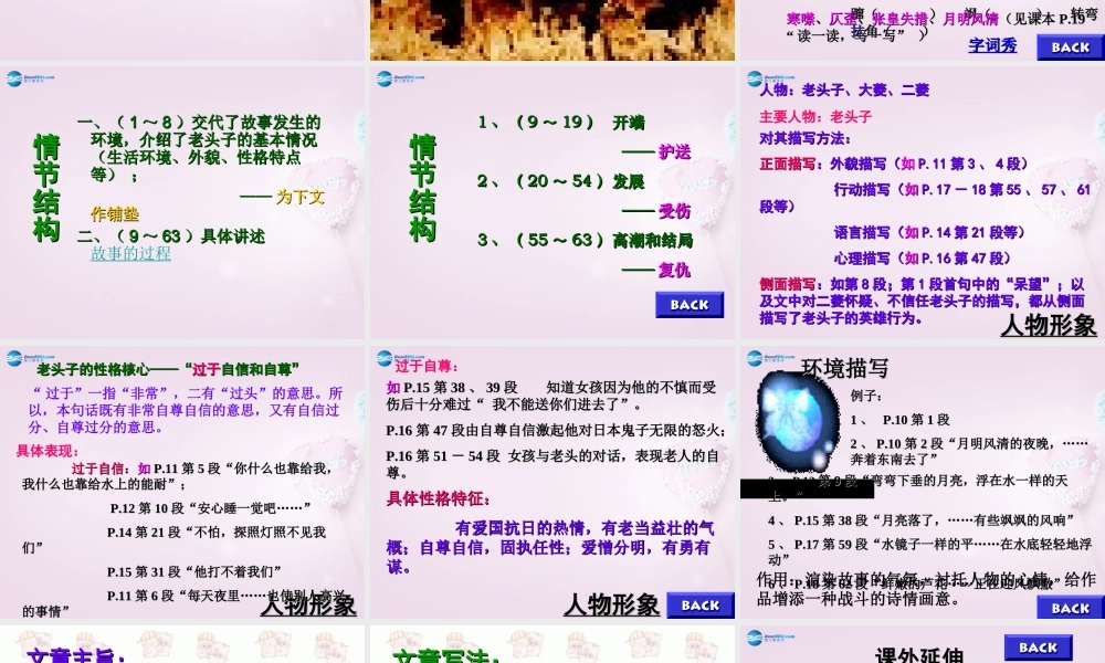 八年级语文上册 第2课 芦花荡课件2 新人教版 课件