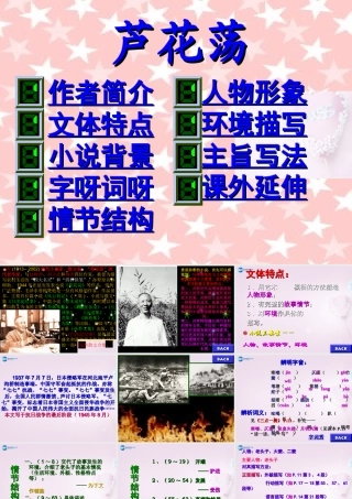 八年级语文上册 第2课 芦花荡课件2 新人教版 课件