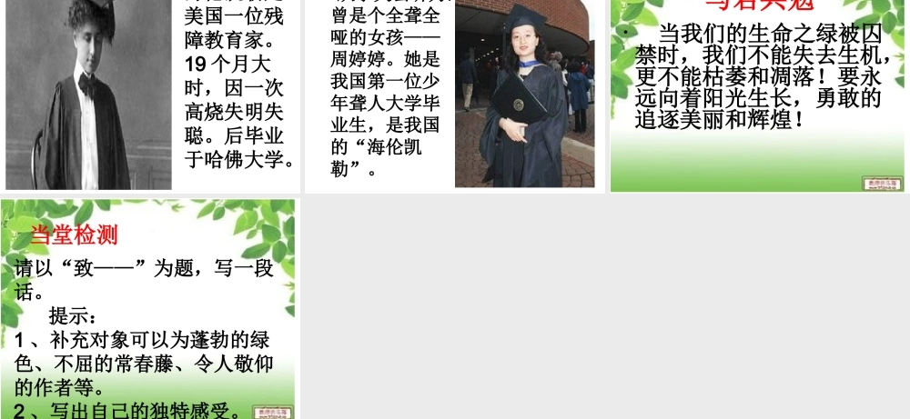囚绿记 (2)