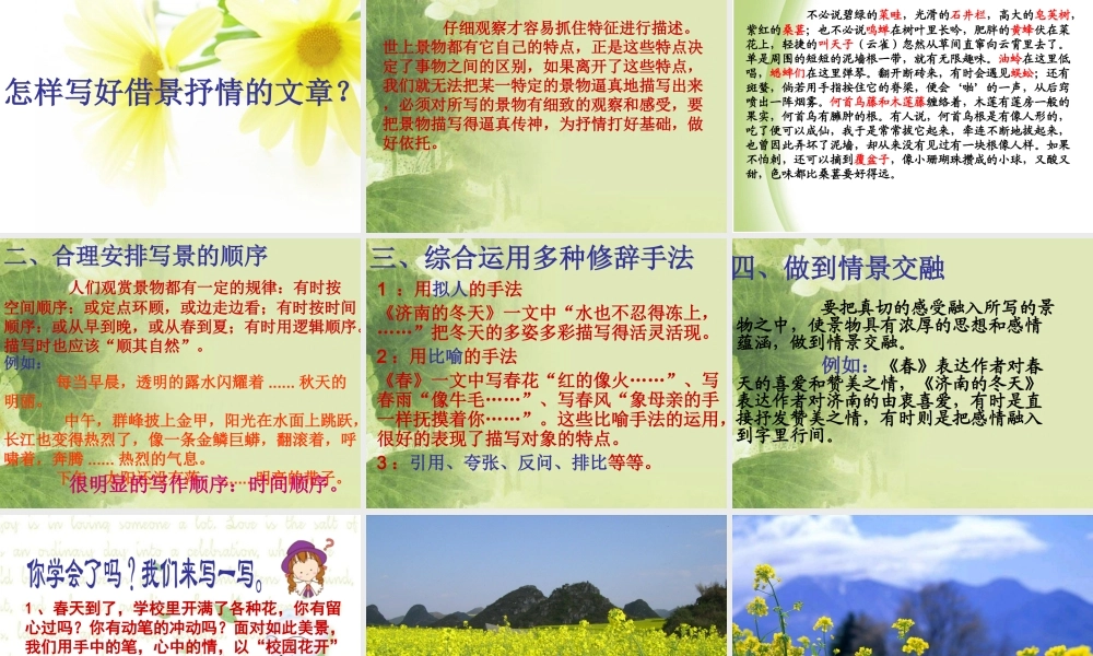 选择恰当的抒情方式作文指导 (2)