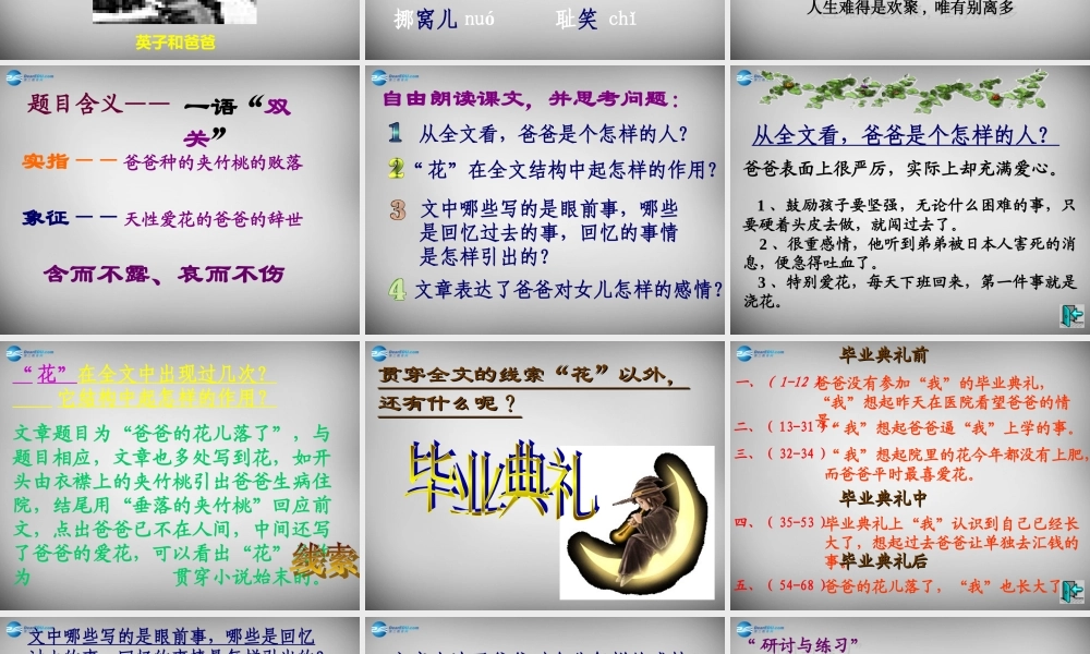 中学七年级语文下册 2(爸爸的花落了)课件 新人教版 课件