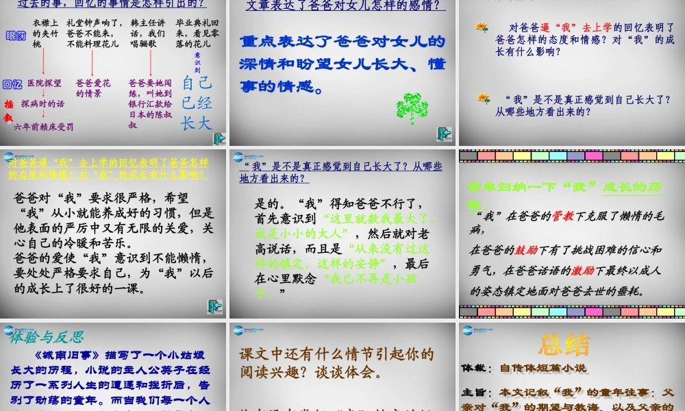 中学七年级语文下册 2(爸爸的花落了)课件 新人教版 课件