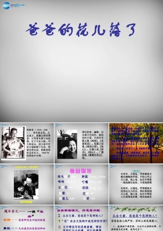 中学七年级语文下册 2(爸爸的花落了)课件 新人教版 课件