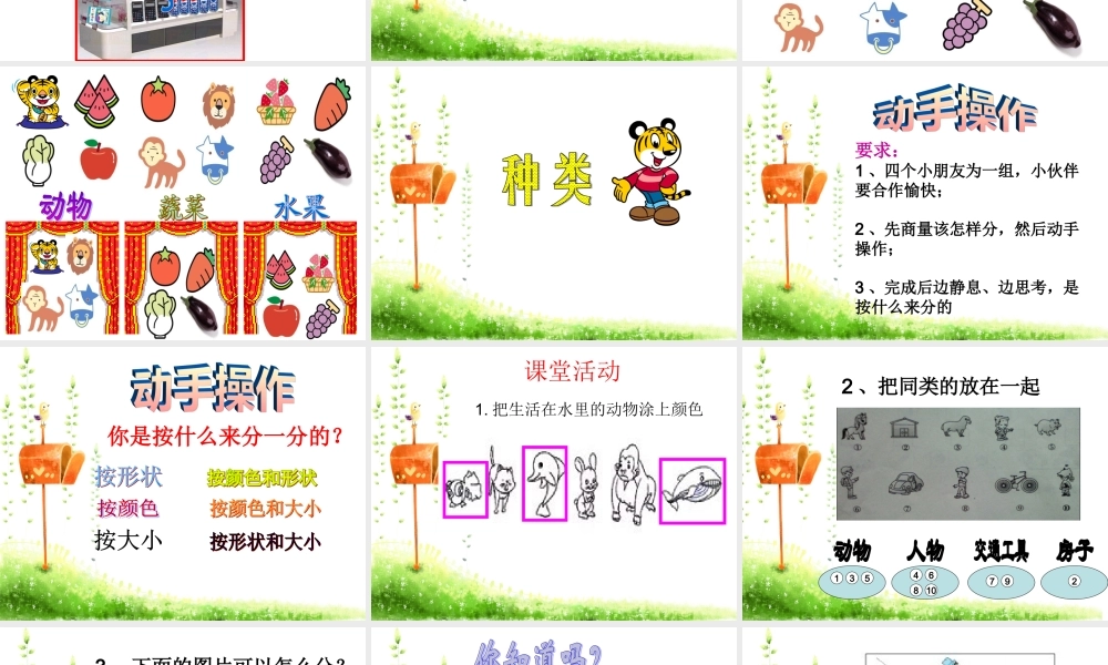 分一分（终稿）