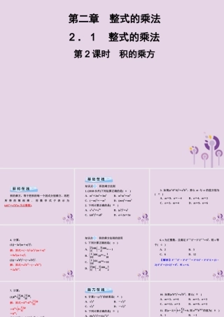 七年级数学下册 第2章(整式的乘法)2.1 整式的乘法 2.1.2 幂的乘方与积的乘方 第2课时 积的乘方习题课件 (新版)湘教版 课件