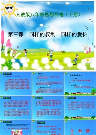 八年级政治下册 第三课(同样的权利　同样的爱护)说课课件 人教新课标版 课件