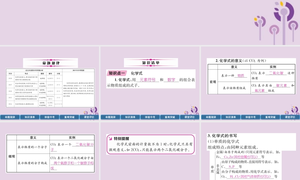 中考化学总复习 第1编 主题复习 模块2 物质构成的奥秘 课时10 化学式和化合价 物质的分类(精讲)课件
