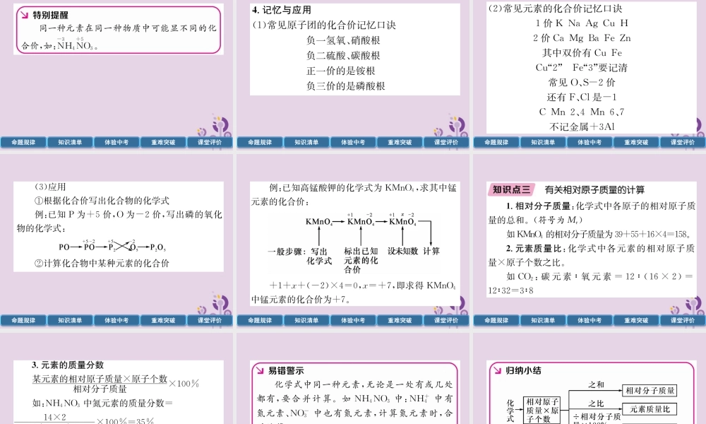 中考化学总复习 第1编 主题复习 模块2 物质构成的奥秘 课时10 化学式和化合价 物质的分类(精讲)课件