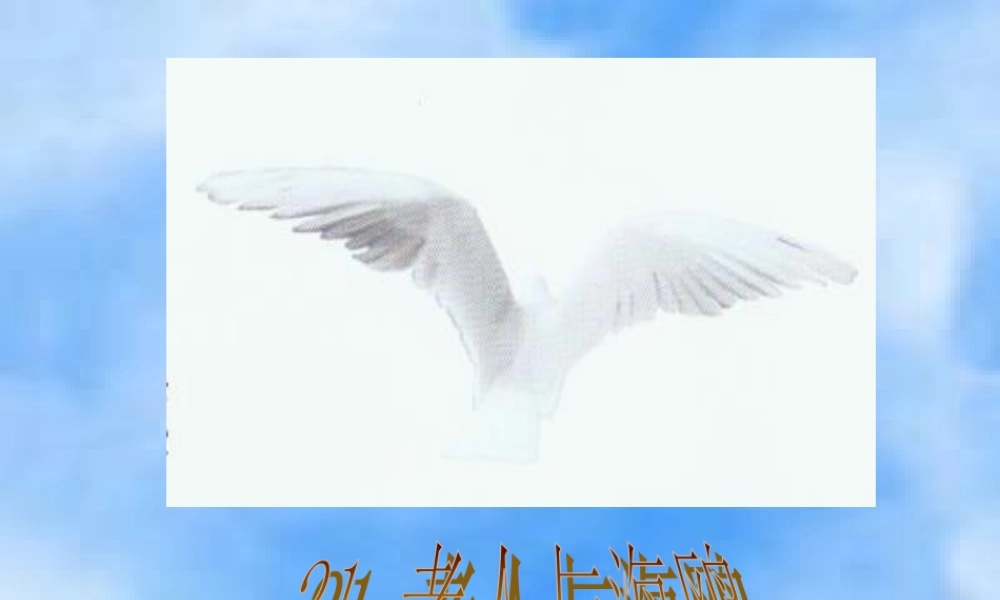 老人与海鸥2