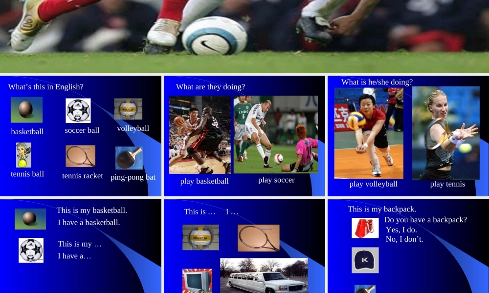 七年级英语上册精品课件Unit5-1v 课件