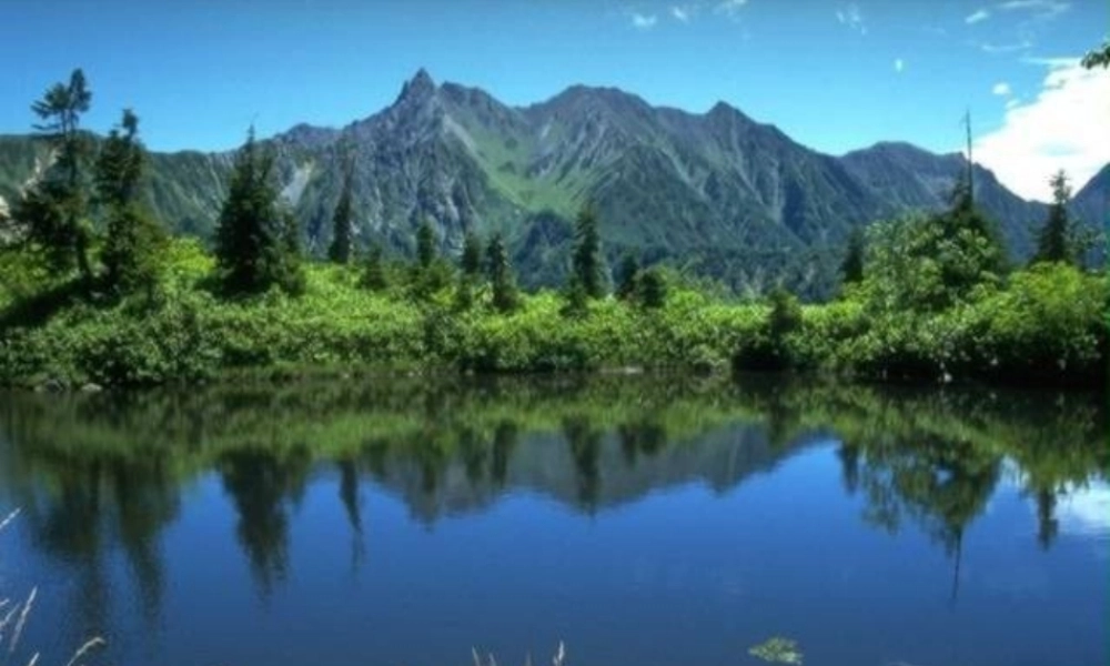 八年级语文上册 第四单元 18 阿里山纪行课件 (新版)苏教版 课件