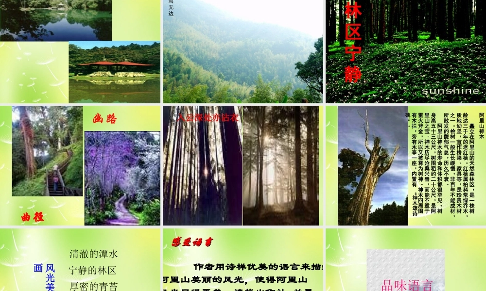 八年级语文上册 第四单元 18 阿里山纪行课件 (新版)苏教版 课件