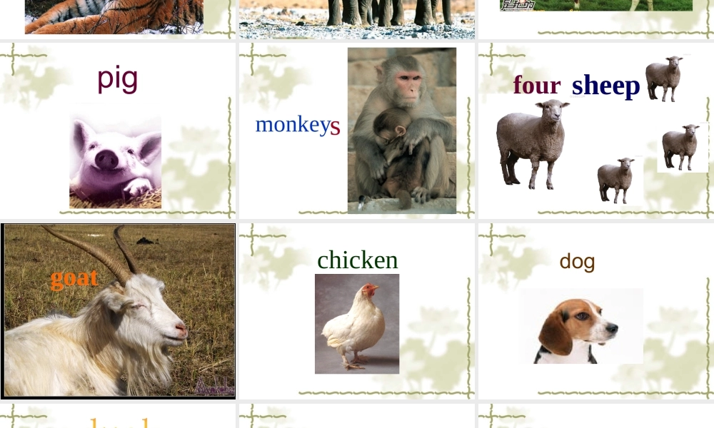 七年级英语上册Unit7 Days and months Lesson 47 课件冀教版 课件