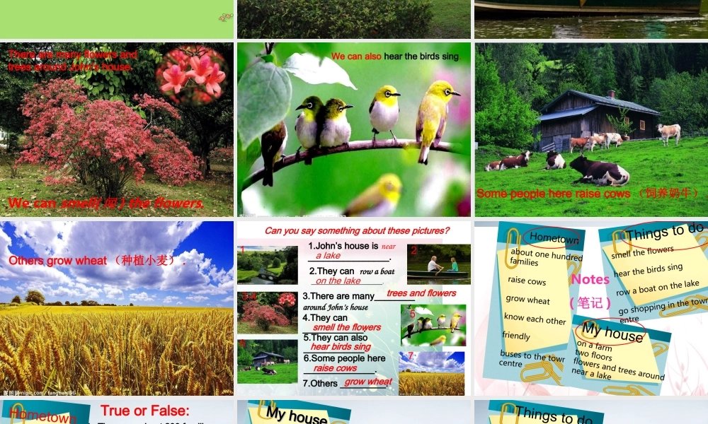 WelcometoSunshineTown