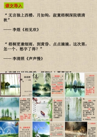 《闲读梧桐》