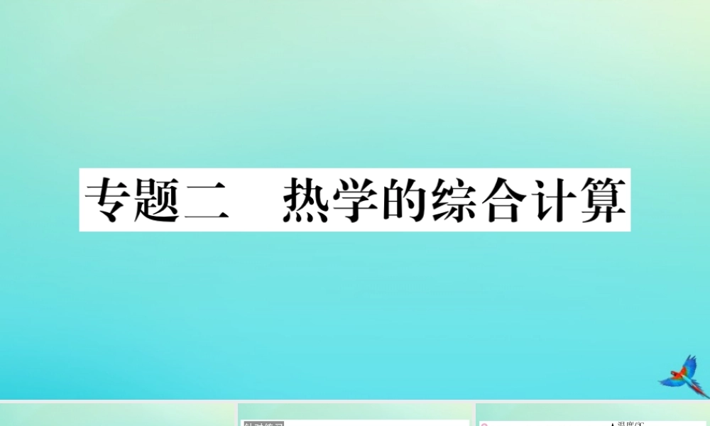 九年级物理全册 第十三章 内能与热机 专题二 热学的综合计算习题讲评课件 (新版)沪科版 课件