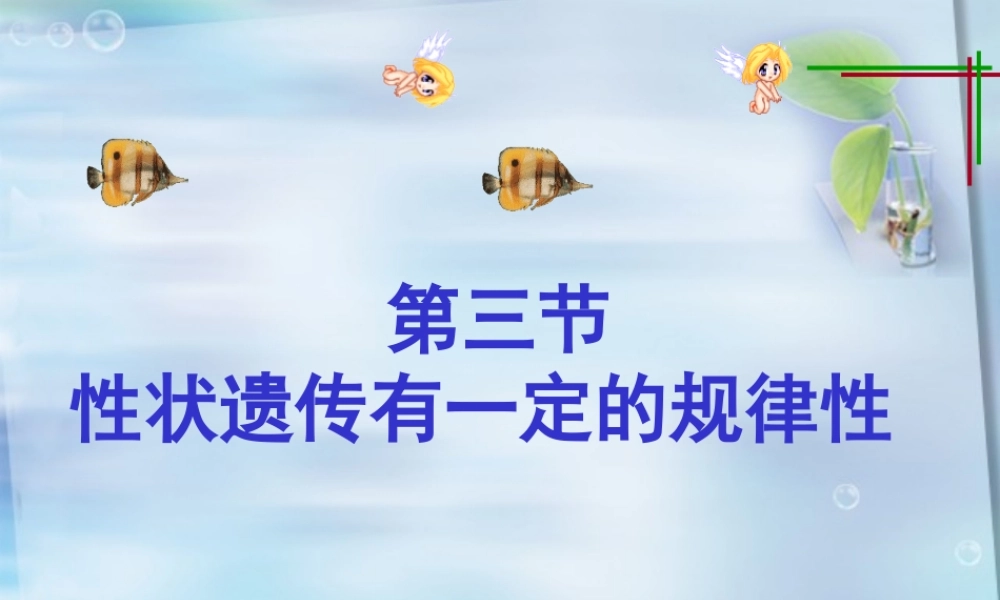 生物+教学课件+24+晏阳初中学+周小容