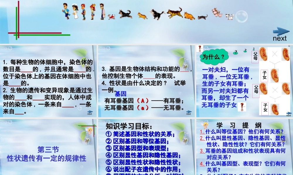 生物+教学课件+24+晏阳初中学+周小容