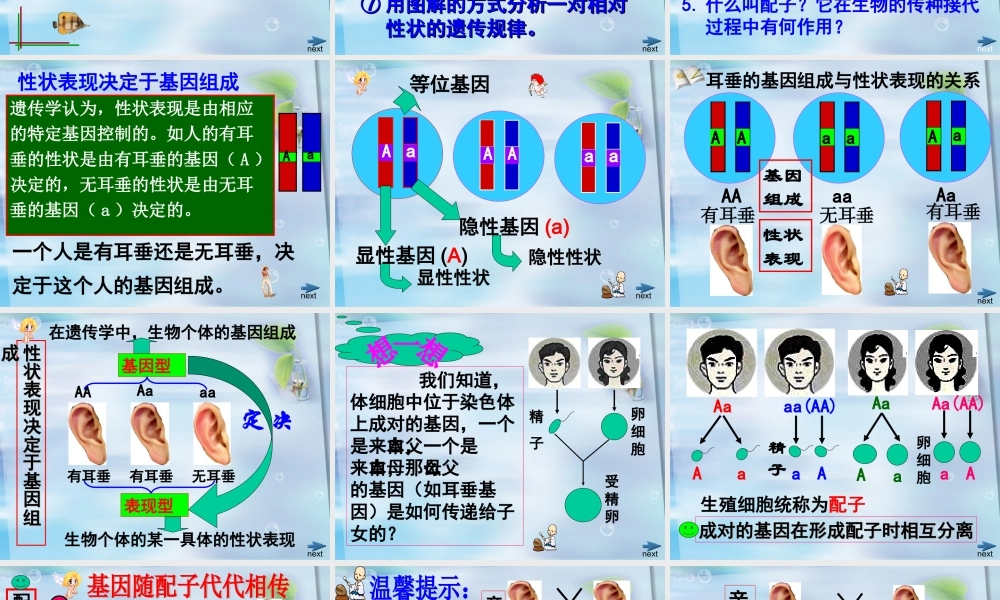 生物+教学课件+24+晏阳初中学+周小容