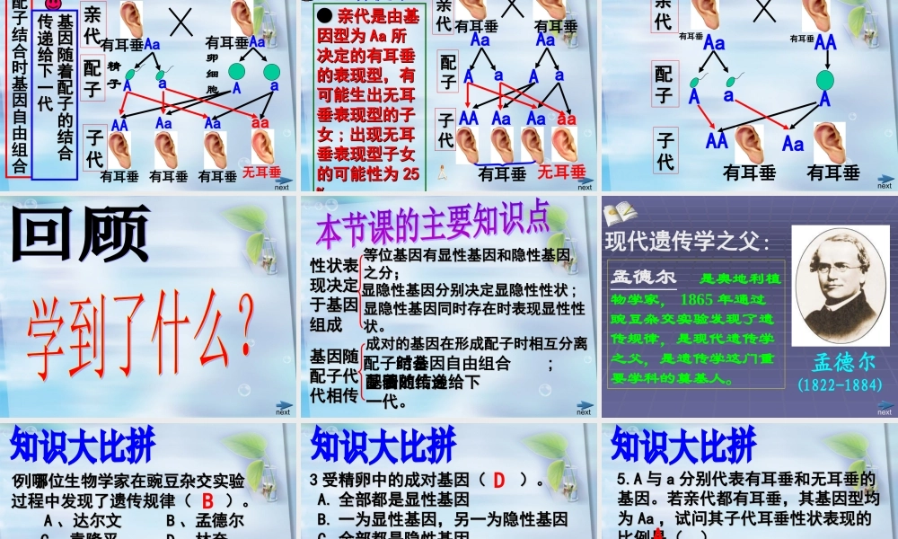生物+教学课件+24+晏阳初中学+周小容