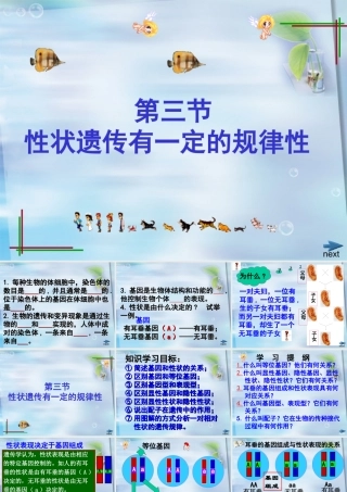 生物+教学课件+24+晏阳初中学+周小容