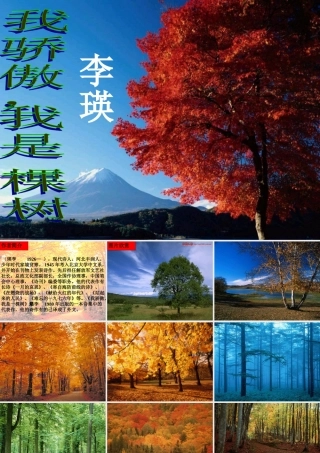 八年级语文下册(我骄傲，我是一棵树)课件 苏教版 课件