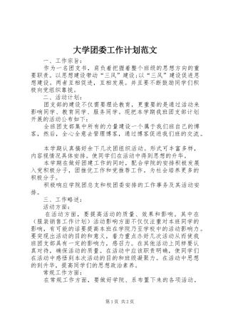 大学团委工作计划范文