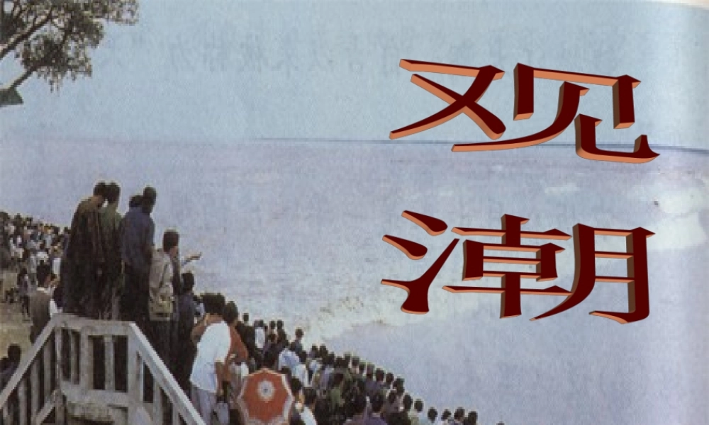 观潮课件(小学语文四年级课件)