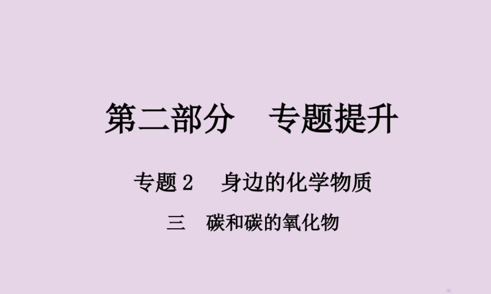 中考化学总复习 第二部分 专题提升 专题2 身边的化学物质 三 碳和碳的氧化物课件