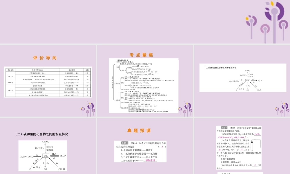 中考化学总复习 第二部分 专题提升 专题2 身边的化学物质 三 碳和碳的氧化物课件
