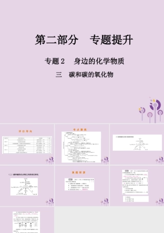 中考化学总复习 第二部分 专题提升 专题2 身边的化学物质 三 碳和碳的氧化物课件