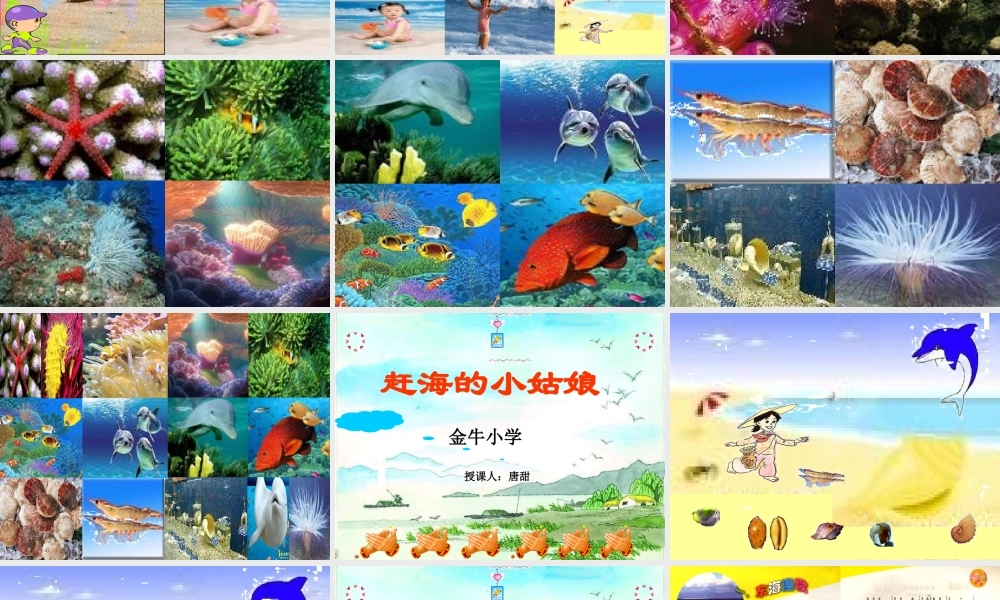 小学四年级音乐课件《赶海的小姑娘》