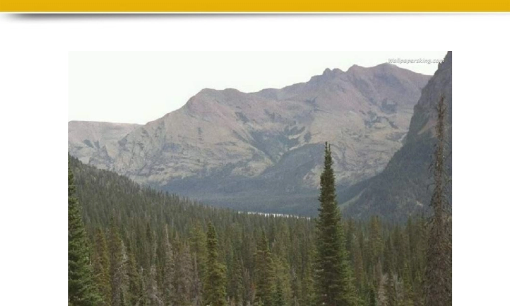 七年级生物上册 生态系统课件 人教新课标版 课件