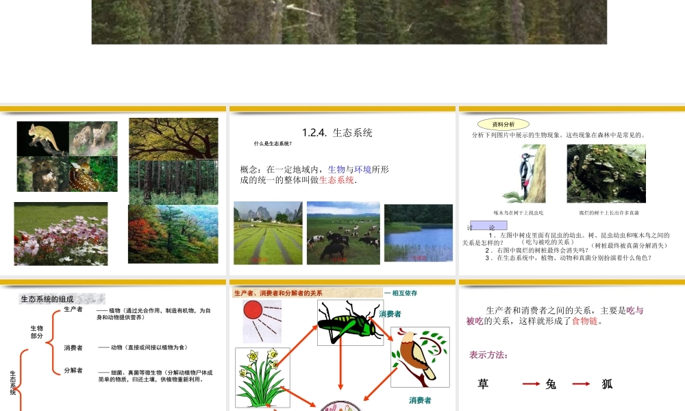 七年级生物上册 生态系统课件 人教新课标版 课件