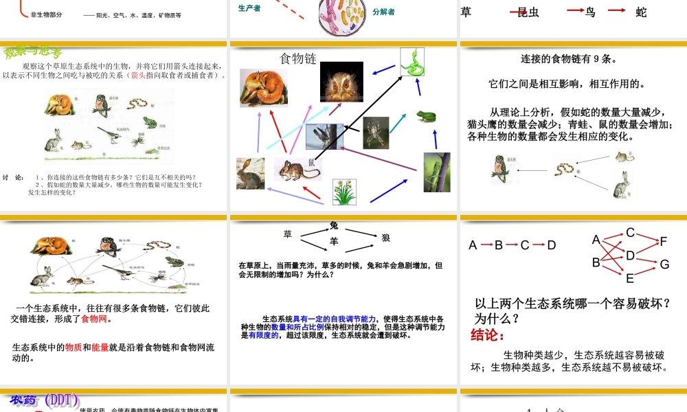 七年级生物上册 生态系统课件 人教新课标版 课件