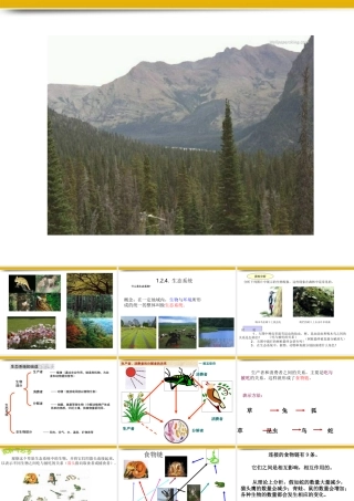七年级生物上册 生态系统课件 人教新课标版 课件