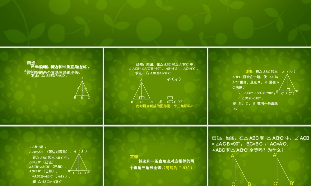 九年级数学上册 32 直角三角形全等的判定课件2 苏科版 课件
