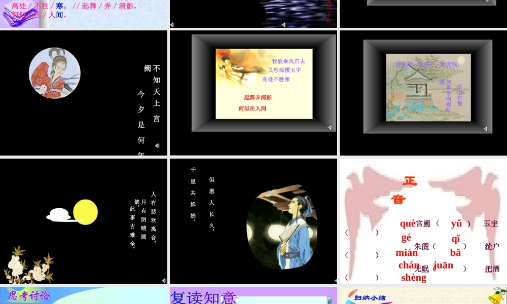 八年级语文下册 (水调歌头)课件 人教版 课件