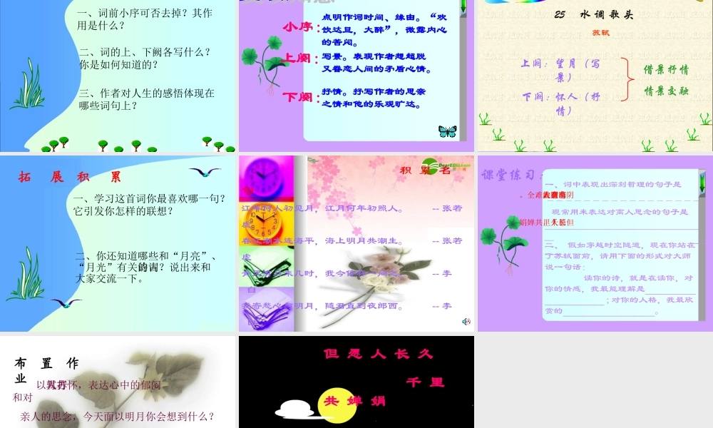 八年级语文下册 (水调歌头)课件 人教版 课件