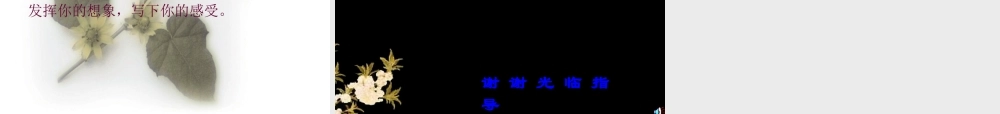 八年级语文下册 (水调歌头)课件 人教版 课件