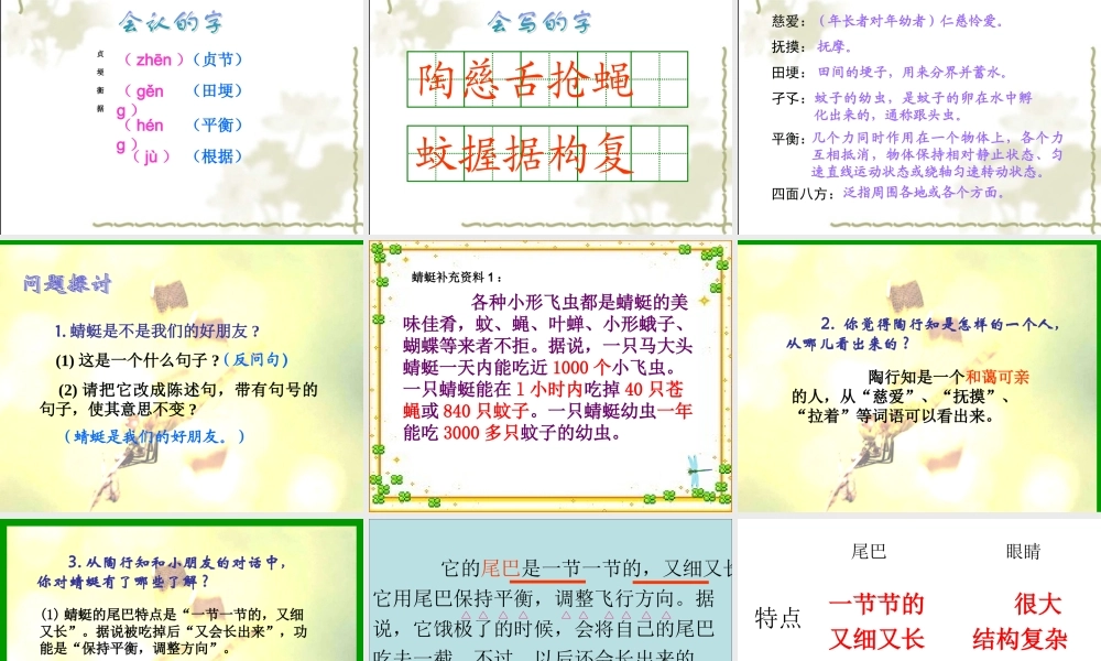 课件《19放飞蜻蜓》