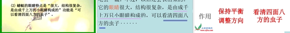 课件《19放飞蜻蜓》